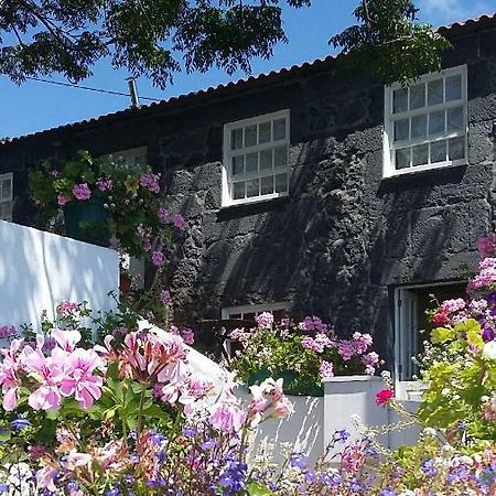 Hostal Casa do Zé - AL Manadas Exterior foto