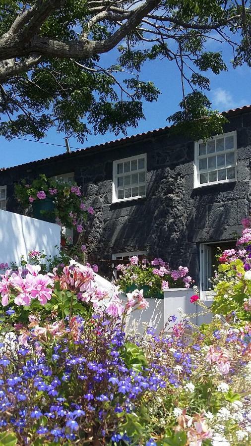 Hostal Casa do Zé - AL Manadas Exterior foto